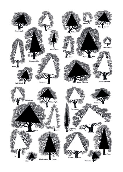 2024 Holiday Card by David Bellingham